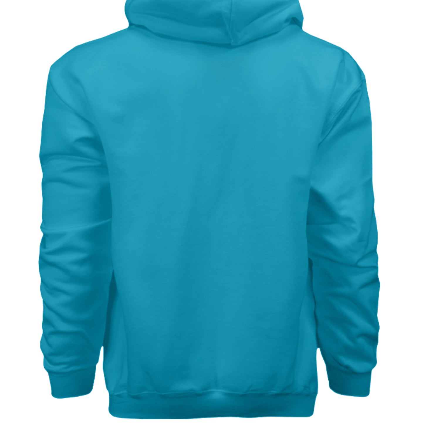 Teal - F170 - BACK