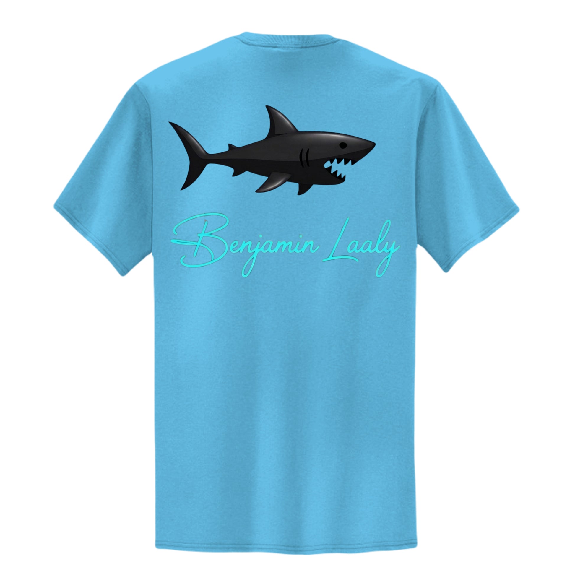 Aquatic Blue - PC55P - BACK
