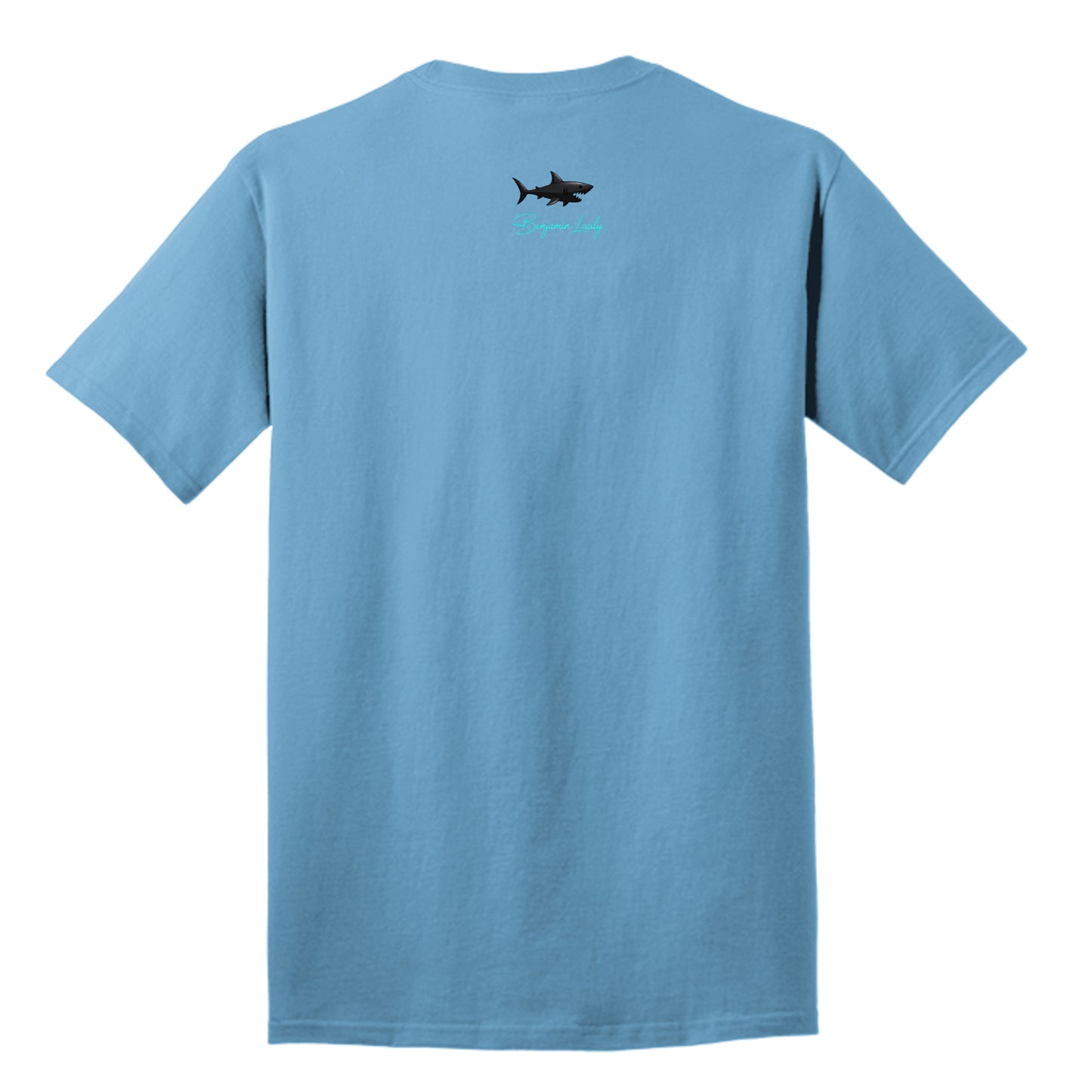 Aquatic Blue - PC54T - BACK