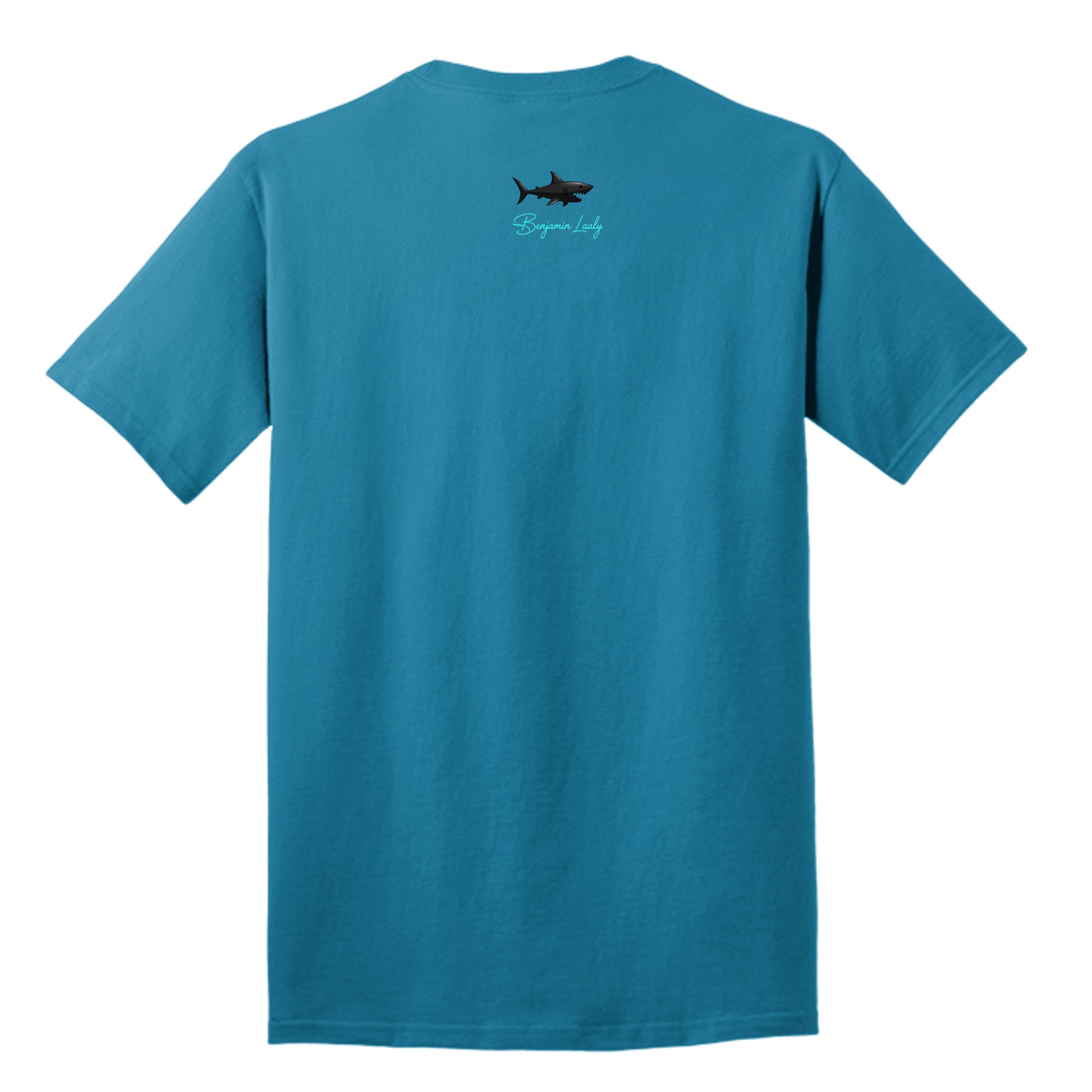 Neon Blue - PC54T - BACK